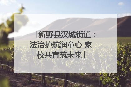 新野县汉城街道：法治护航润童心 家校共育筑未来