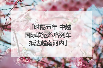 时隔五年 中越国际联运旅客列车抵达越南河内
