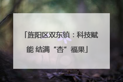旌阳区双东镇：科技赋能 结满“杏”福果