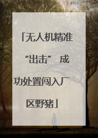 无人机精准“出击” 成功处置闯入厂区野猪
