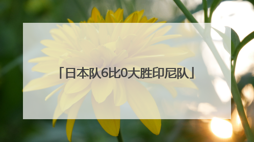 日本队6比0大胜印尼队