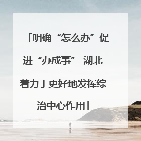 明确“怎么办”促进“办成事” 湖北着力于更好地发挥综治中心作用