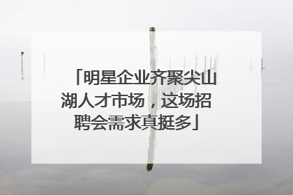 明星企业齐聚尖山湖人才市场，这场招聘会需求真挺多