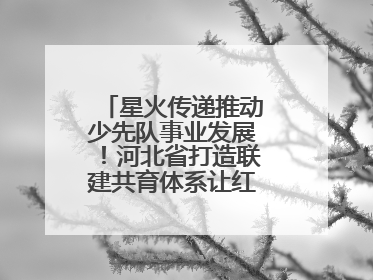 星火传递推动少先队事业发展！河北省打造联建共育体系让红领巾更鲜艳