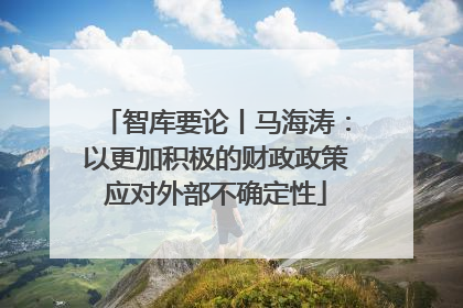 智库要论丨马海涛：以更加积极的财政政策应对外部不确定性