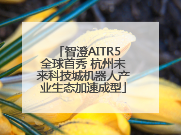 智澄AITR5全球首秀 杭州未来科技城机器人产业生态加速成型
