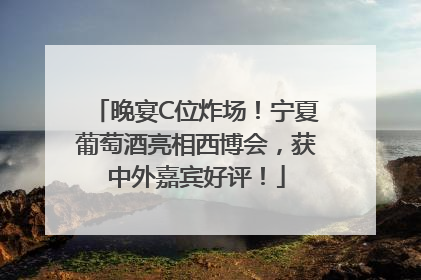 晚宴C位炸场！宁夏葡萄酒亮相西博会，获中外嘉宾好评！