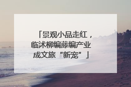 景观小品走红，临沭柳编藤编产业成文旅“新宠”