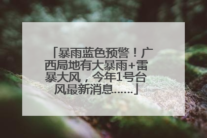 暴雨蓝色预警！广西局地有大暴雨+雷暴大风，今年1号台风最新消息……