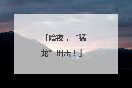 暗夜，“猛龙”出击！