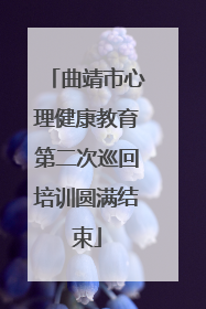 曲靖市心理健康教育第二次巡回培训圆满结束