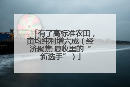 有了高标准农田，亩均纯利增六成（经济聚焦·夏收里的“新选手”）