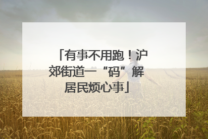 有事不用跑！沪郊街道一“码”解居民烦心事