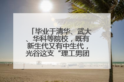 毕业于清华、武大、华科等院校，既有新生代又有中生代，光谷这支“理工男团”为何“出道”？