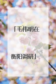 毛伟明在衡阳调研