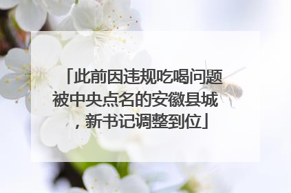 此前因违规吃喝问题被中央点名的安徽县城，新书记调整到位