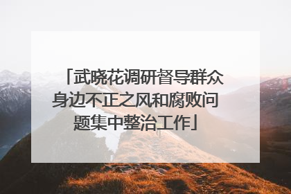 武晓花调研督导群众身边不正之风和腐败问题集中整治工作