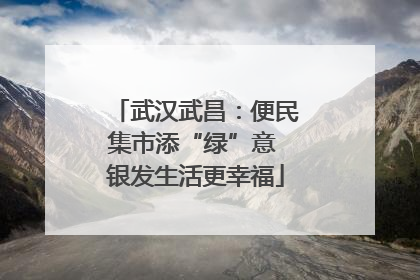 武汉武昌：便民集市添“绿”意 银发生活更幸福