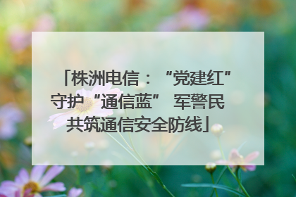株洲电信：“党建红”守护“通信蓝” 军警民共筑通信安全防线