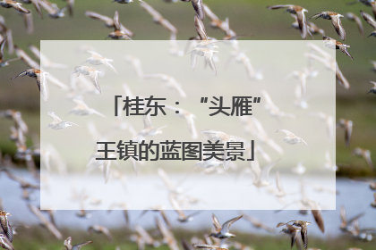 桂东：“头雁”王镇的蓝图美景