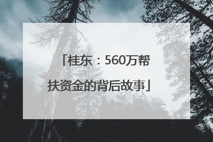 桂东：560万帮扶资金的背后故事