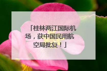 桂林两江国际机场，获中国民用航空局批复！