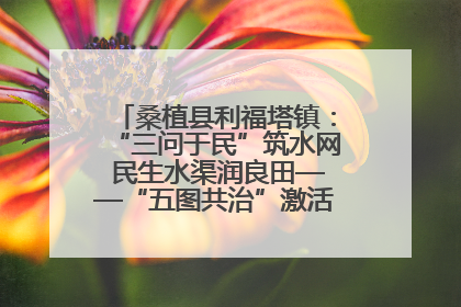 桑植县利福塔镇：“三问于民”筑水网 民生水渠润良田——“五图共治”激活基层治理新动能