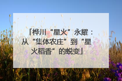桦川“星火”永耀：从“集体农庄”到“星火稻香”的蜕变