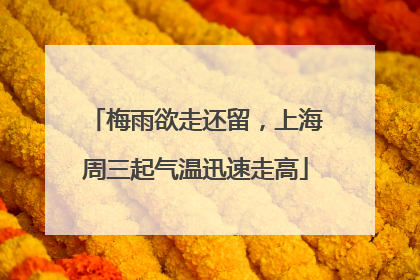 梅雨欲走还留，上海周三起气温迅速走高
