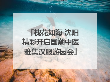 槐花如海 沈阳精彩开启国潮中医雅集汉服游园会