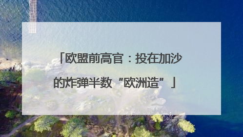欧盟前高官：投在加沙的炸弹半数“欧洲造”