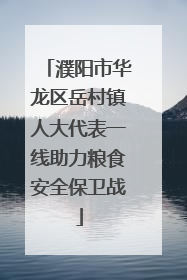 濮阳市华龙区岳村镇人大代表一线助力粮食安全保卫战