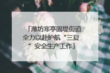 潍坊寒亭固堤街道全力以赴护航“三夏”安全生产工作