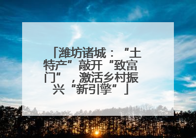 潍坊诸城：“土特产”敲开“致富门”，激活乡村振兴“新引擎”