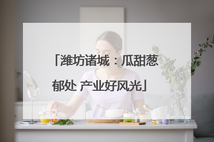潍坊诸城：瓜甜葱郁处 产业好风光