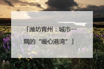 潍坊青州：城市一隅的“暖心港湾”
