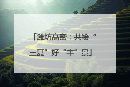 潍坊高密：共绘“三夏”好“丰”景