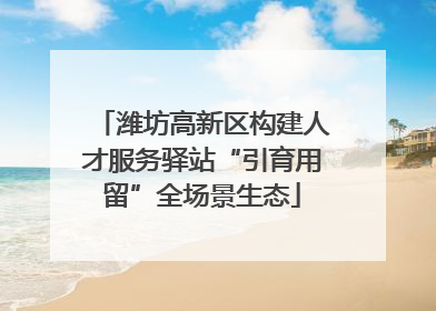 潍坊高新区构建人才服务驿站“引育用留”全场景生态
