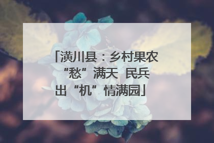 潢川县：乡村果农“愁”满天  民兵出“机”情满园