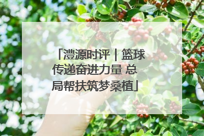 澧源时评｜篮球传递奋进力量 总局帮扶筑梦桑植