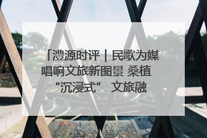 澧源时评｜民歌为媒唱响文旅新图景 桑植 “沉浸式” 文旅融合的破圈启示