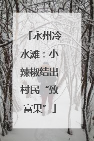 永州冷水滩：小辣椒结出村民“致富果”
