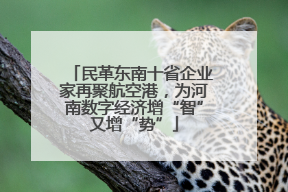 民革东南十省企业家再聚航空港，为河南数字经济增“智”又增“势”