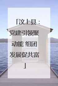 汶上县：党建引领聚动能 组团发展促共富