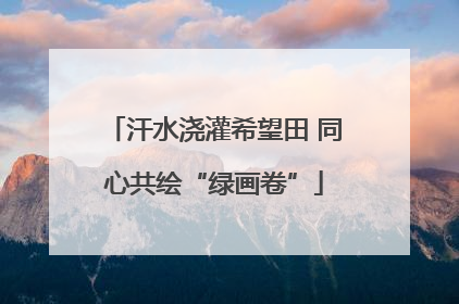 汗水浇灌希望田 同心共绘“绿画卷”