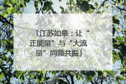 江苏如皋：让“正能量”与“大流量”同频共振