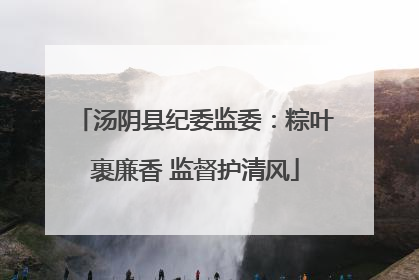 汤阴县纪委监委：粽叶裹廉香 监督护清风
