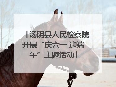 汤阴县人民检察院开展“庆六一 迎端午”主题活动