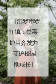 汨罗市罗江镇：禁毒护苗齐发力 守护校园助成长