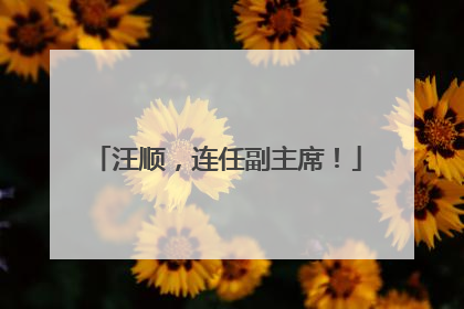 汪顺，连任副主席！
